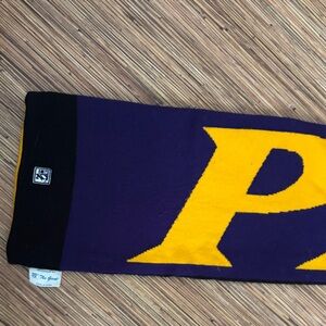 ECU 🏴‍☠️Purple and Yellow Scarf